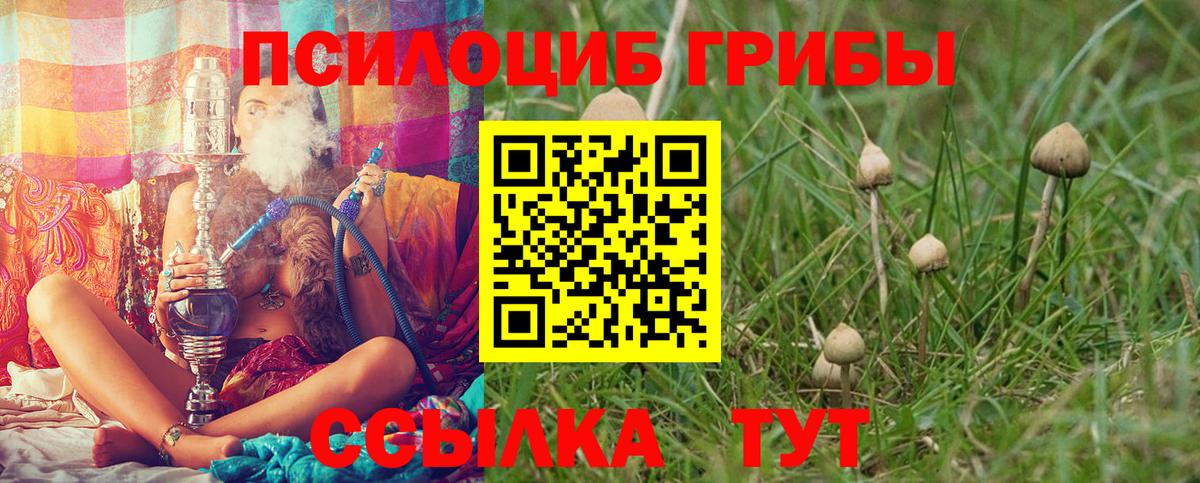 Псилоцибиновые грибы мицелий  Галлюциногенные грибы мицелий  Ноябрьск  Вход с VPN 